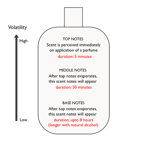 Perfume Notes