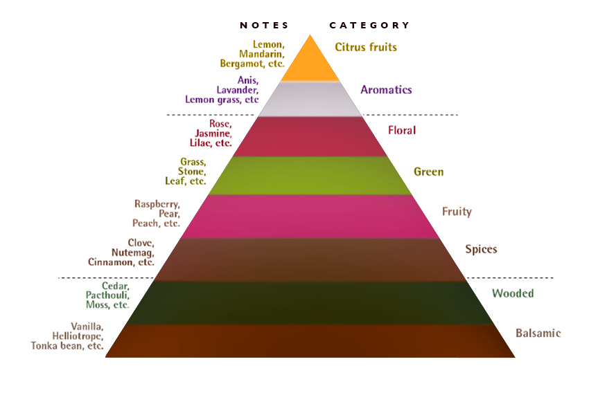 Perfume Pyramid